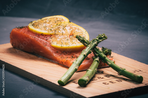 Salmon Meal