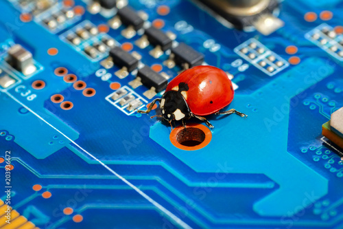 Ladybug and Circuit board background