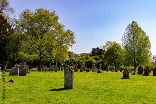 Summer graveyard scene