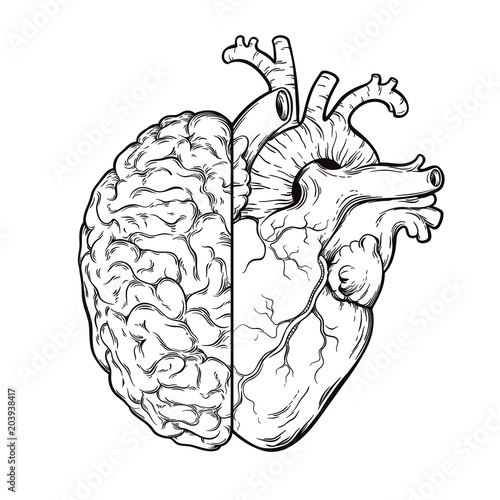 Fototapeta Naklejka Na Ścianę i Meble -  Hand drawn line art human brain and heart halfs - Logic and emotion priority concept. Print or tattoo design isolated on white background vector illustration.