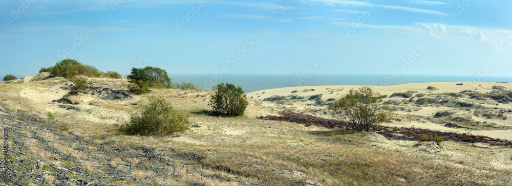 The landscape of the sand dunes