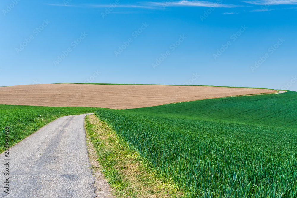 Weg zwischen den Feldern in der natur mit satten Farben