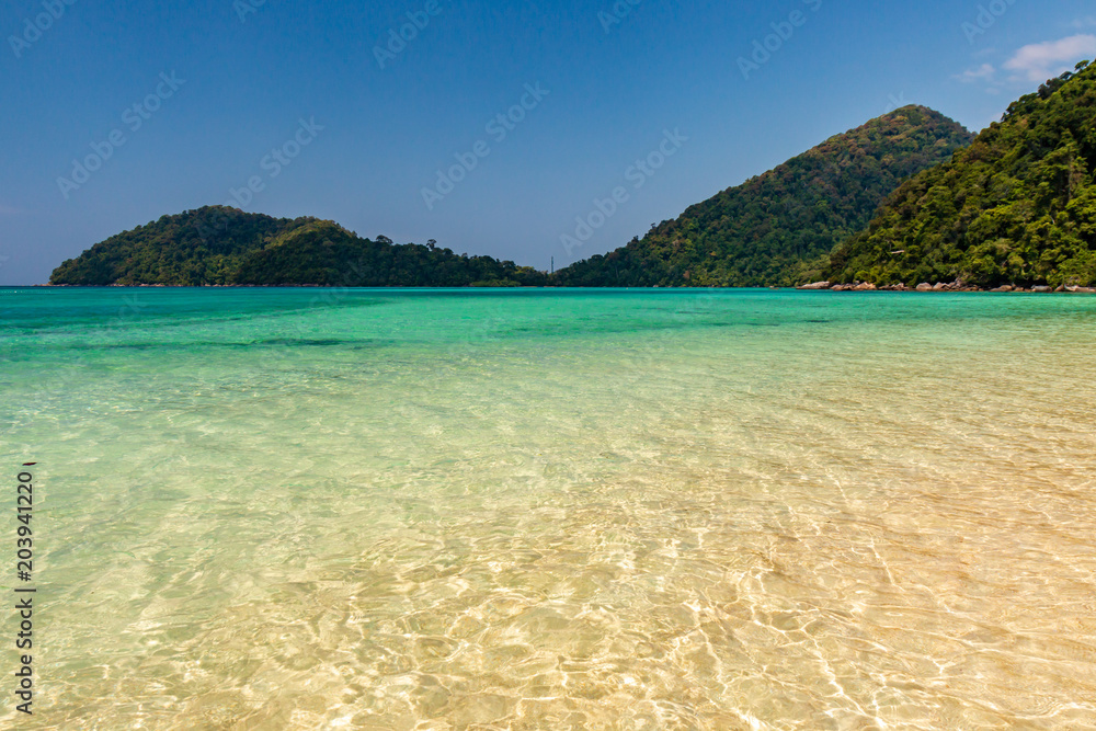Beautiful empty tropical sandy beach surrounded by lush vegetation and jungle