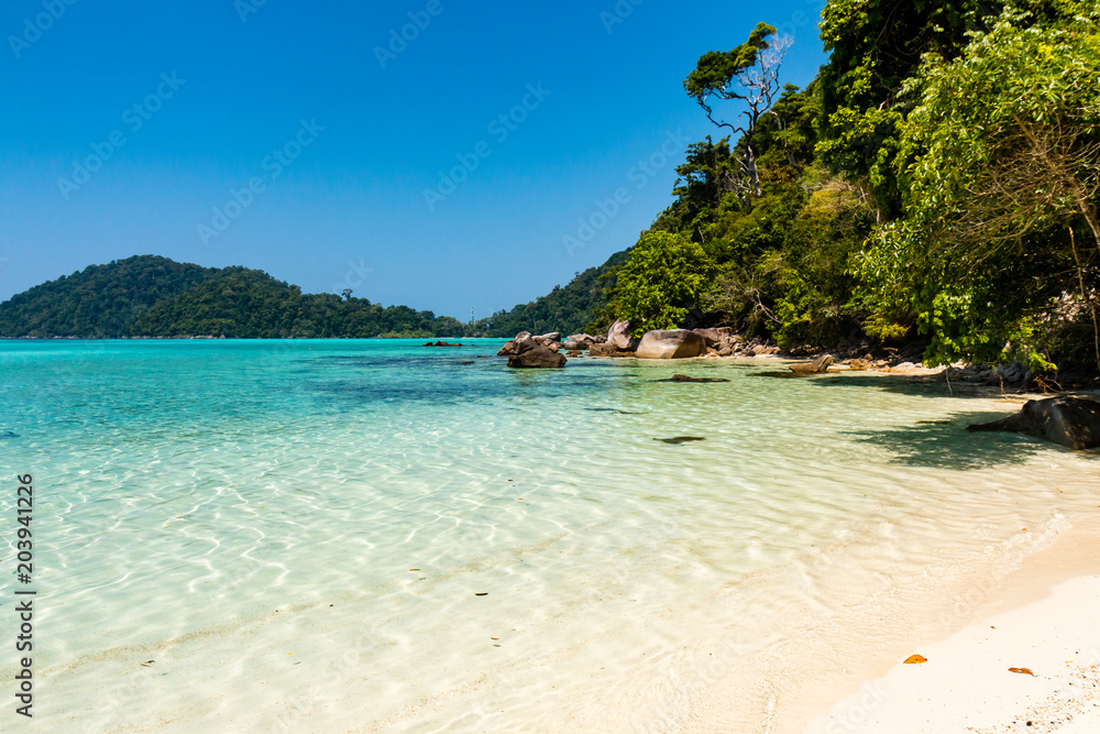 Obraz premium Beautiful empty tropical sandy beach surrounded by lush vegetation and jungle