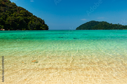 Beautiful clear tropical ocean surrounded by lush vegetation