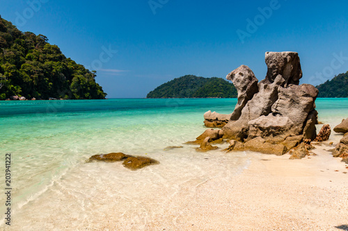 Beautiful empty tropical sandy beach surrounded by lush vegetation and jungle © whitcomberd