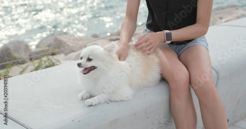 Pet owner massaging on White pomeranian dog at outdoor