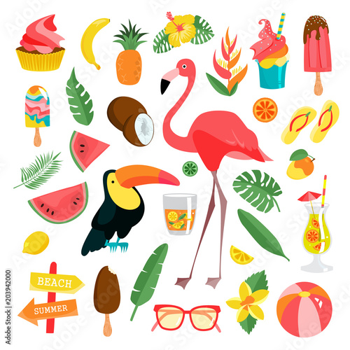 Tropical illustrations set.
