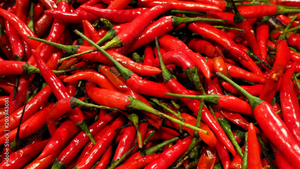 Many colorful hot spicy organic chilli