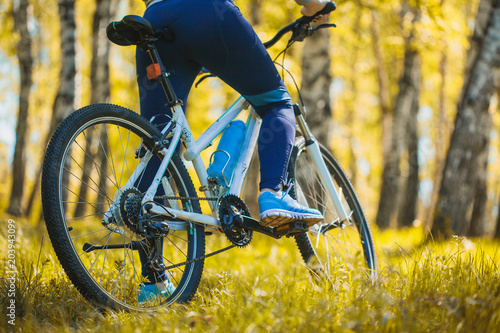 cyclist riding mountain bike in the forest