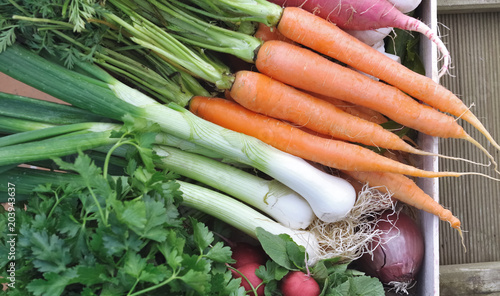 top view on fresh vegetables in a tray