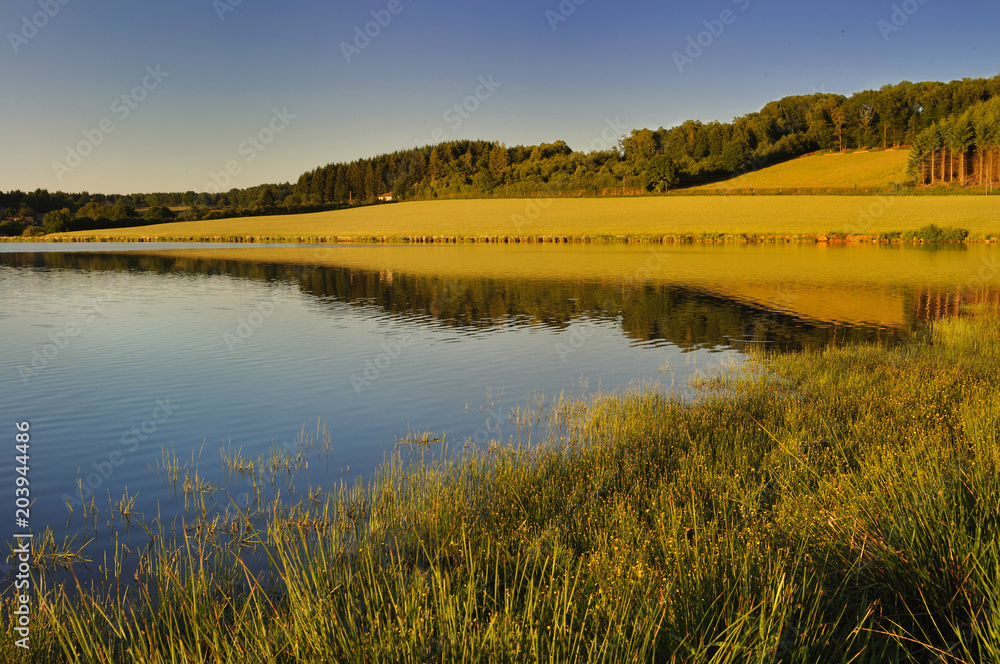 Grass in the water of a lake in the feet from a hill at sunset 