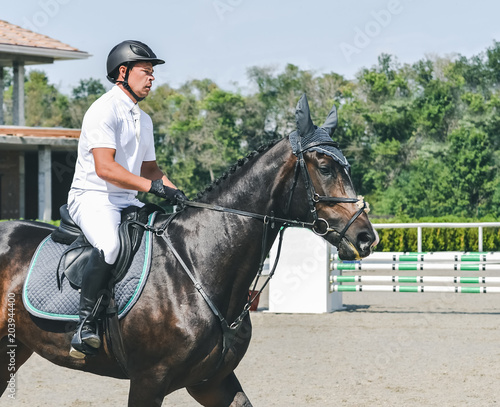 Showjumping competition, bay horse and rider in white uniform performing jump over the bridle. Equestrian sport background. Beautiful horse portrait during show jumping competition.