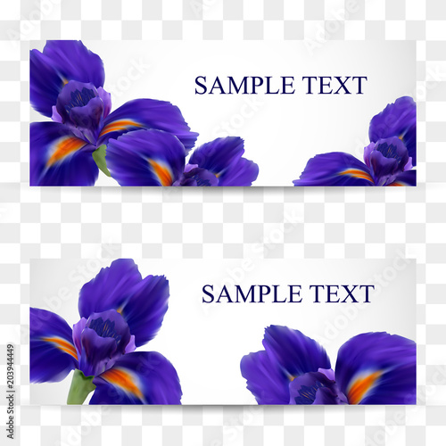 A set of cards or postcards with realistic iris flowers