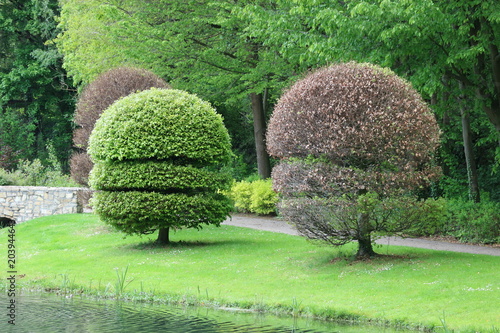 Sphere green and rose trees in the park