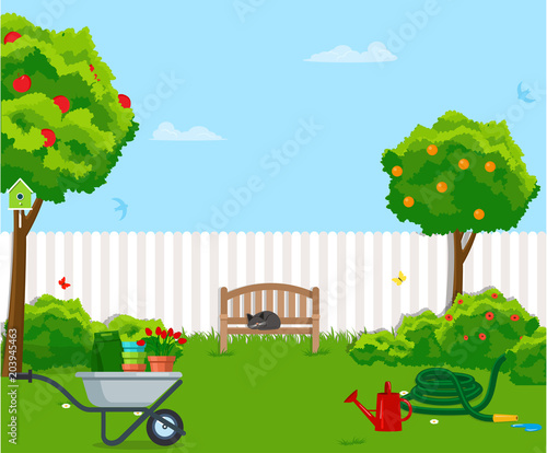 Sunny back yard with green lawn, fence, bench, fruit trees, bushes, flowers, birdhouse, hose, wheelbarrow. Vector illustration.