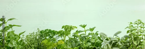 Panel kuchenny z motywem Herbs