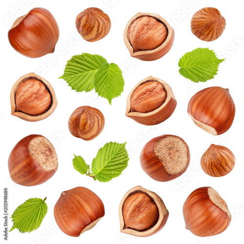 Hazelnuts with leaves isolated on white background. Collection