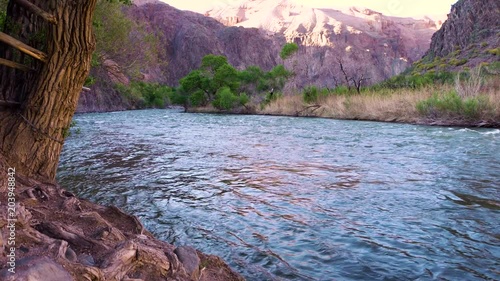 mountain river with a tree in the foreground. Oasis in eco-Park in Charyn national Park of Kazakhstan photo