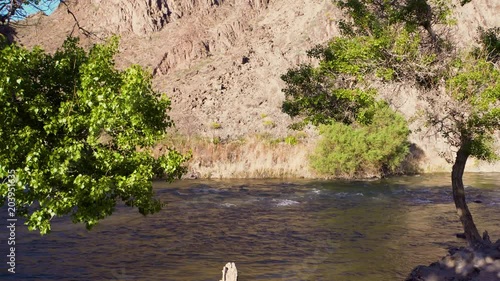 mountain river with a tree in the foreground. Oasis in eco-Park in Charyn national Park of Kazakhstan photo