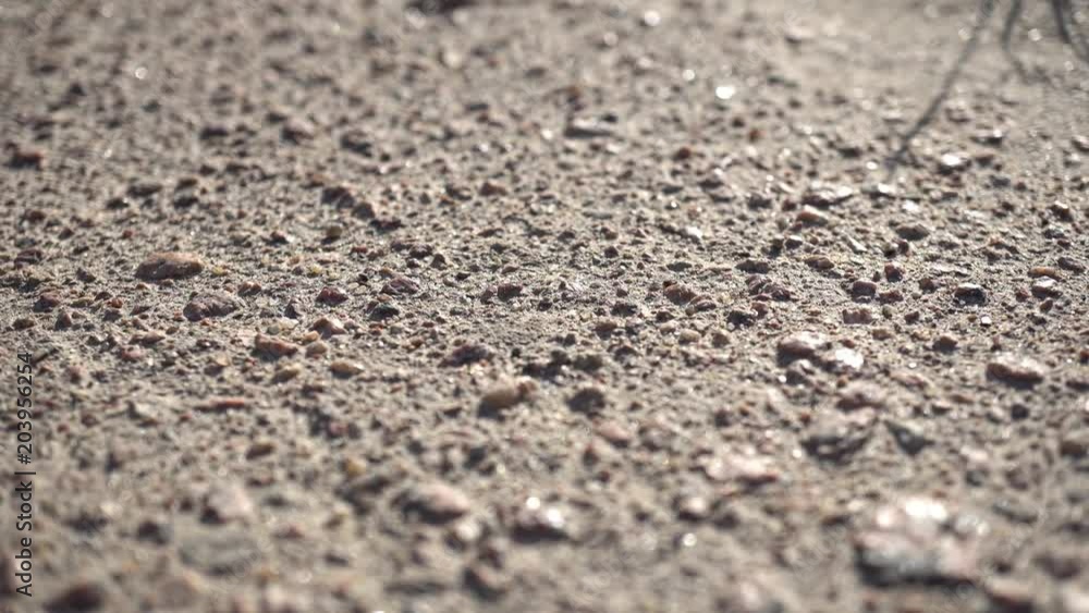 Macro Asphalt Background At Sunset Macro Asphalt Background At Sunset