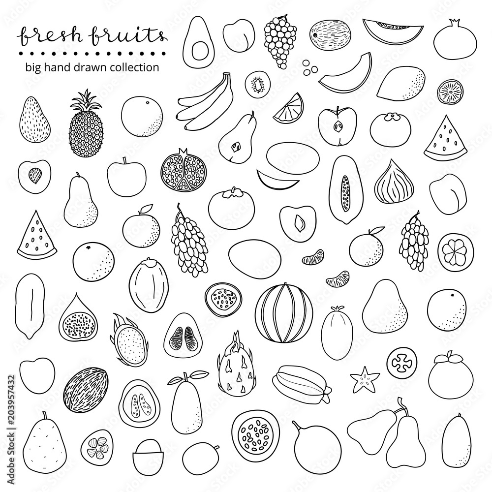 Fototapeta premium Big set of hand drawn fruits.