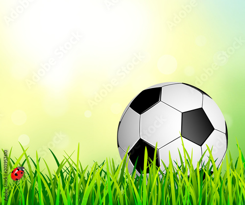 Soccer ball on the grass. Soccer ball on an abstract background