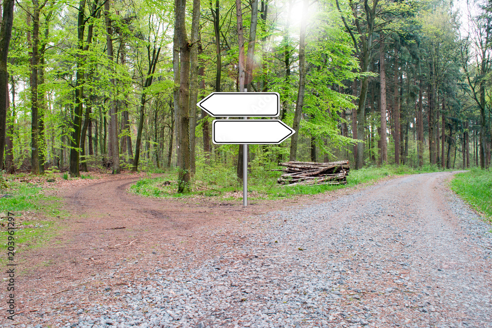 Rechts oder Links? Weggabelung im Wald mit Schild für Beschriftung. Rechts oder Links? Weggabelung im Wald mit Schild für Beschriftung.