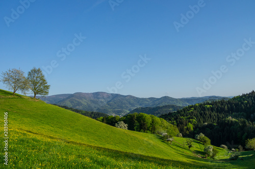 Germany, Beautiful holiday nature landscape region of black forest with mountains