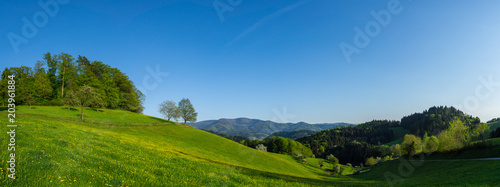 Germany, XXL large black forest nature landscape panorama in sexau near Freiburg