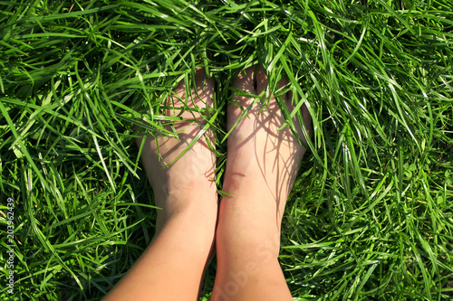 top view of female feet immersed in the lush green grass lawn in the spring