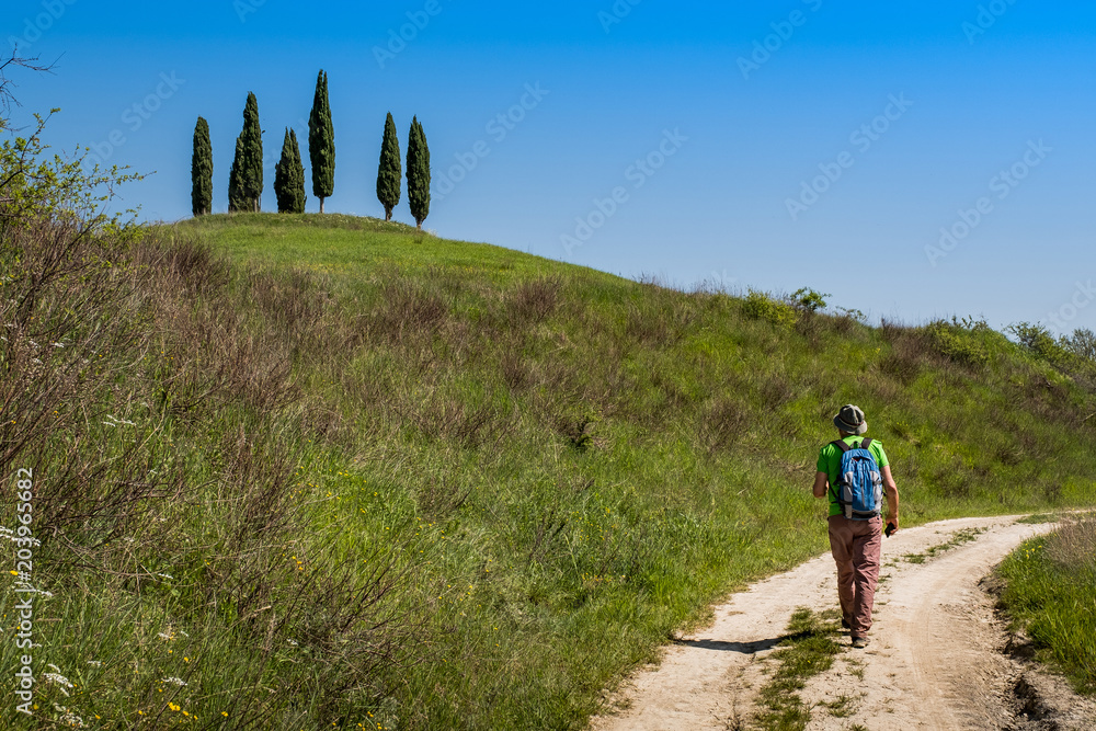 ASCIANO, TUSCANY, Italy - Unknown people walking along the famous white roads