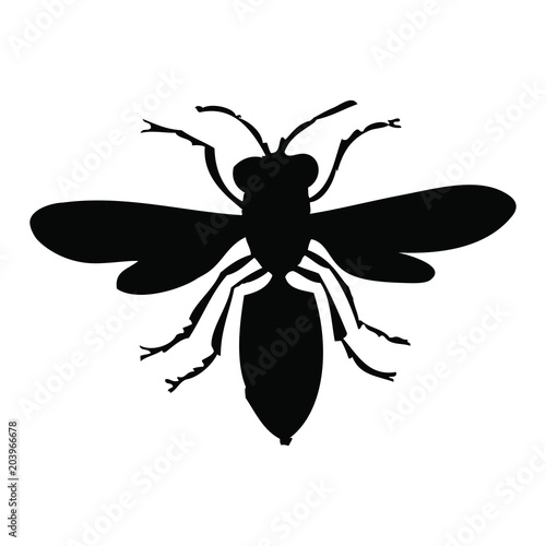 Hornet - Bee silhouette