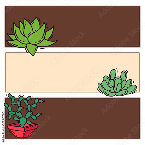 Cactus home nature card vector illustration of green plant cactaceous tree with flower