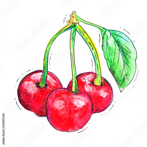 Watercolor cherry