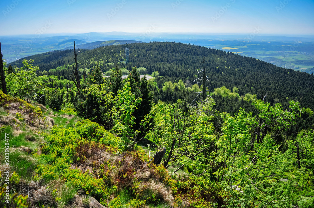 Naklejka premium View from the top of the Jested Mountain, Czech Republic. May 2018
