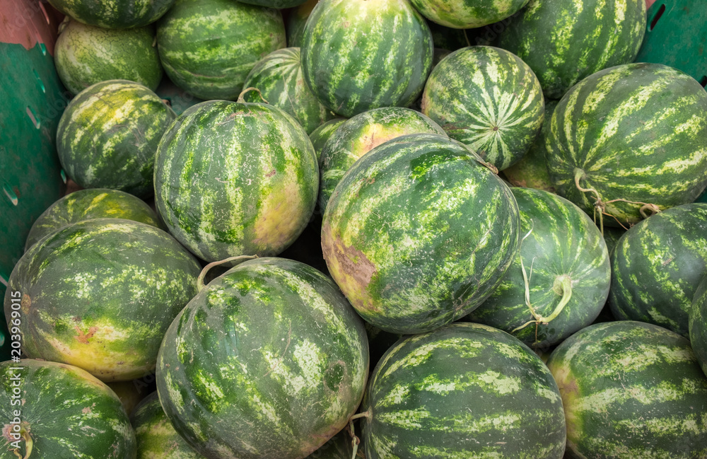 The new harvest watermelons sold at local farm market The new harvest watermelons sold at local farm market