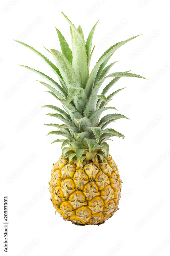 Pineapple isolated on white background with clipping path Pineapple isolated on white background with clipping path