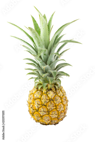 Pineapple isolated on white background with clipping path