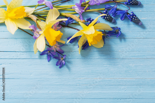 Fototapeta Naklejka Na Ścianę i Meble -  yellow and blue spring flowers on wooden background