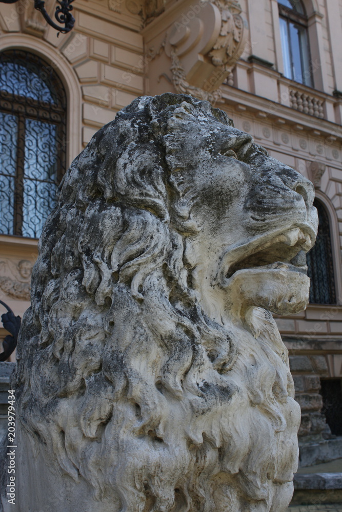 Lion statue at Patriarchy Court in the city Sremski Karlovci near Novi Sad in Vojvodina-Serbia Lion statue at Patriarchy Court in the city Sremski Karlovci near Novi Sad in Vojvodina-Serbia