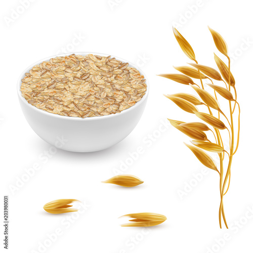 Vector 3d realistic oat ears, grains with white bowl. Detailed cereal plant, agriculture organic crop. Flakes, oatmeal set isolated on white background