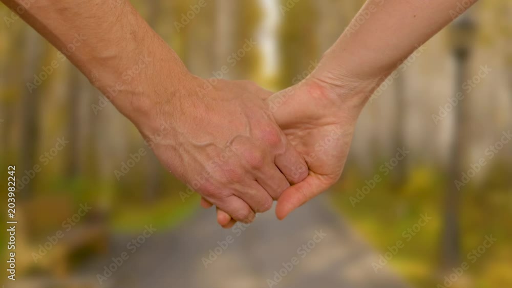 Couple holding hands during romantic walk in autumn park Couple holding hands during romantic walk in autumn park