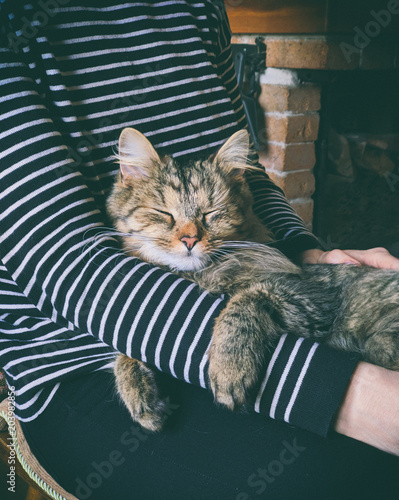 cat bonding with his woman, sitting in her lap next to chimney on wooden chair and petting
