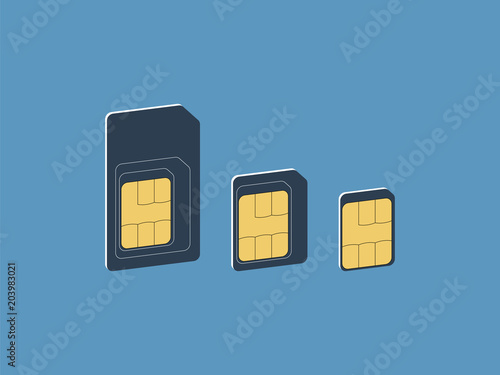 Different sim card types. Isometric illustration. Vector