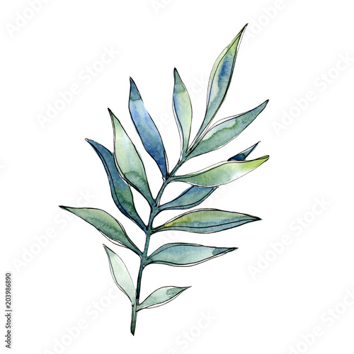 Tropical green lesves  in a watercolor style isolated. Aquarelle leaf for background, texture, wrapper pattern, frame or border. photo