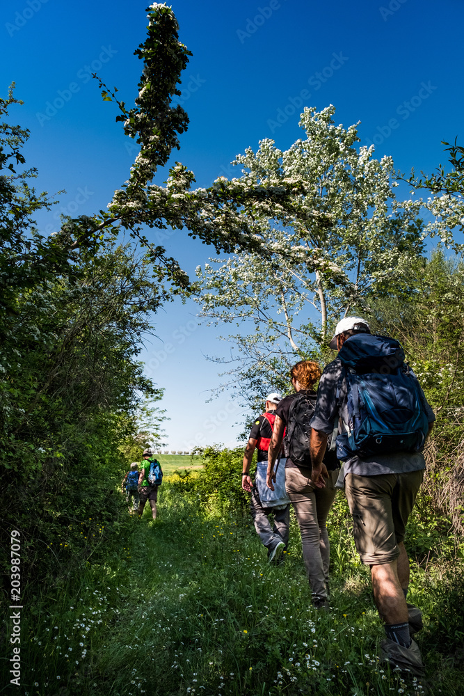 ASCIANO, TUSCANY, Italy - Unknown people walking