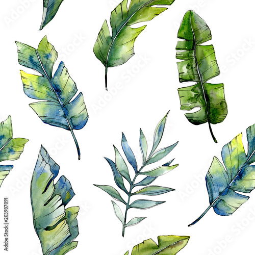 Naklejka Tropikalne zielone lesves w stylu przypominającym akwarele. Liść Aquarelle na tle, tekstury, wzór opakowania, ramki lub granicy.