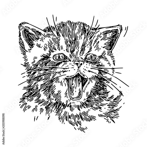 Portrait of a small meowing kitty. Engraving style. Vector illustration.