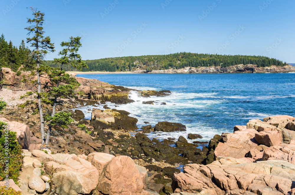 View of the Coast of Acadia National Park, Maine, on a Clear Autumn Day